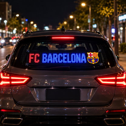 LED Soccer Fan Display