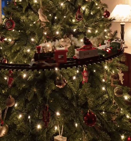 TreeTrack Train