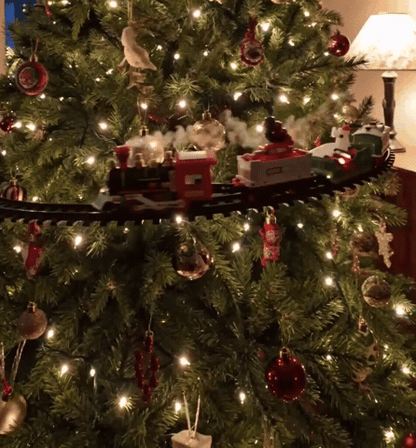 TreeTrack Train